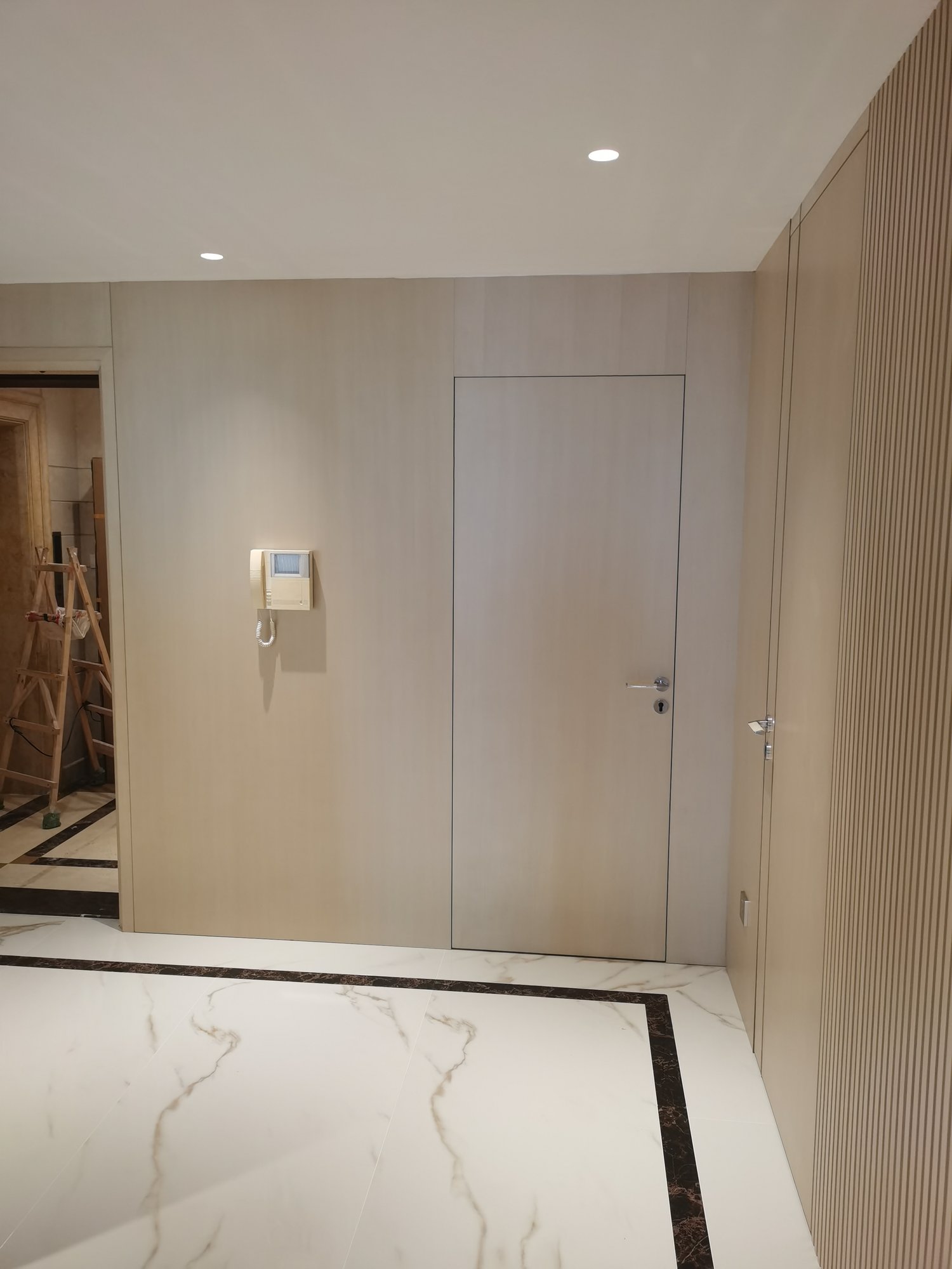Entryway concealed door, wall panels, and side custom cabinet